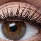 💦 ACHETEZ 2, OFFERT 1 ! ✨ Faux Cils Auto-Adhésifs Waterproof – Faciles à poser, tenue longue durée & effet naturel – Regard agrandi sans colle ni tracas 👁️