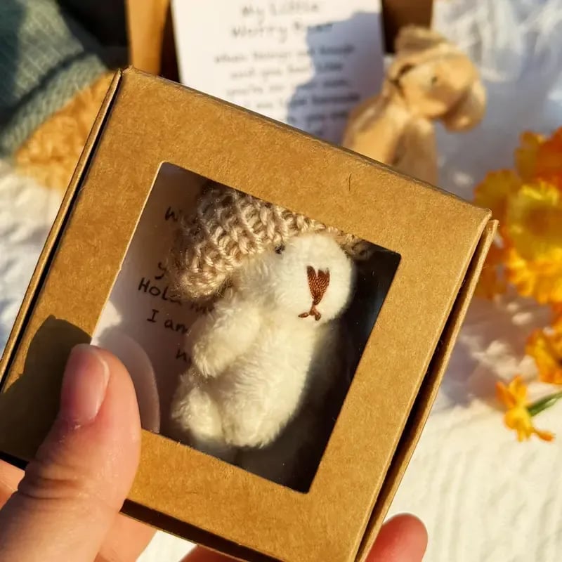 🧸 50% DE RÉDUCTION! 🎁 Mini Ours en Peluche Main avec Bonnet Amovible – Doux, réconfortant & compagnon de poche – Cadeau idéal pour petits et grands 💕