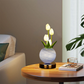 🌷💡 Veilleuse Bouquet de Tulipes – -50% ! Lueur douce, fleurs réalistes, USB – Parfaite pour chambre & nursery 🔥✨