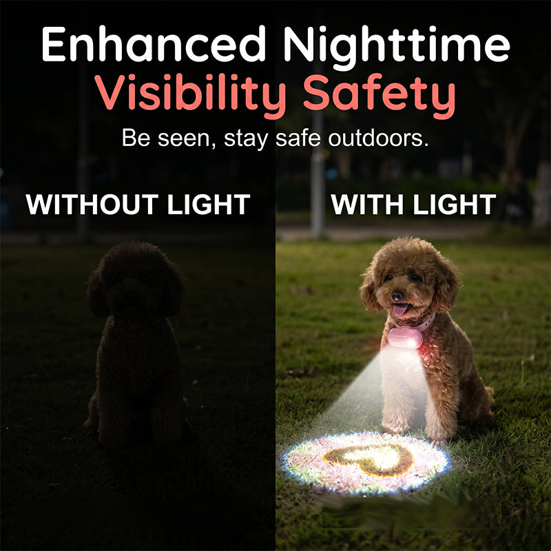 Collier lumineux anti-perte pour animaux avec projecteur de motifs de races