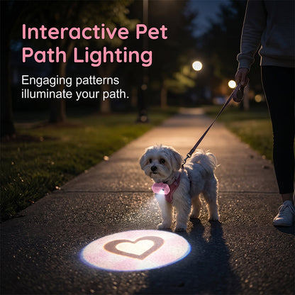 Collier lumineux anti-perte pour animaux avec projecteur de motifs de races