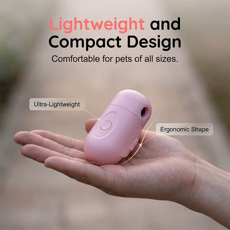Collier lumineux anti-perte pour animaux avec projecteur de motifs de races