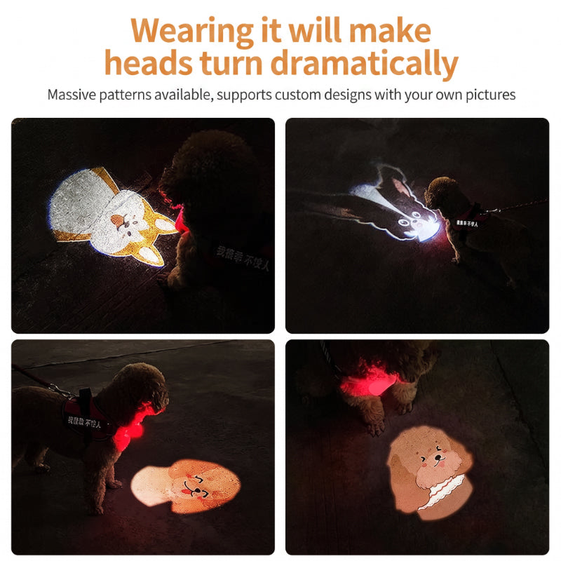 Collier lumineux anti-perte pour animaux avec projecteur de motifs de races