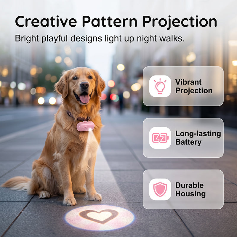 Collier lumineux anti-perte pour animaux avec projecteur de motifs de races