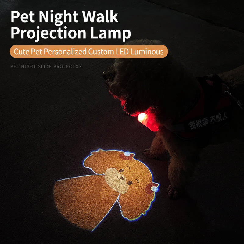 Collier lumineux anti-perte pour animaux avec projecteur de motifs de races