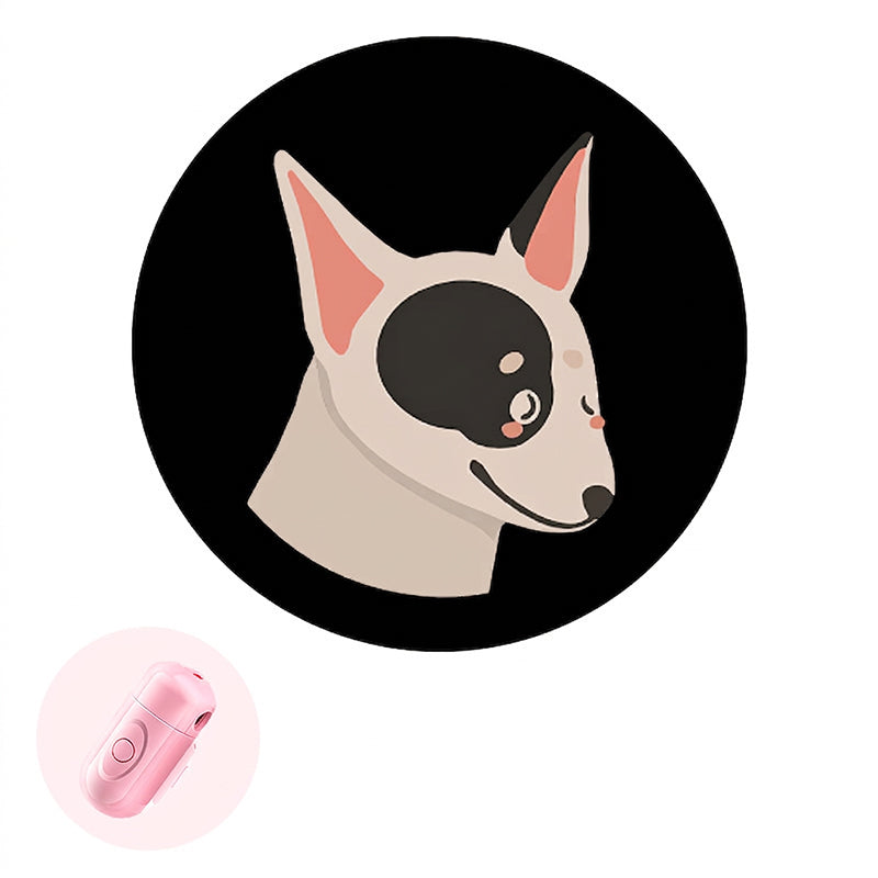 Collier lumineux anti-perte pour animaux avec projecteur de motifs de races