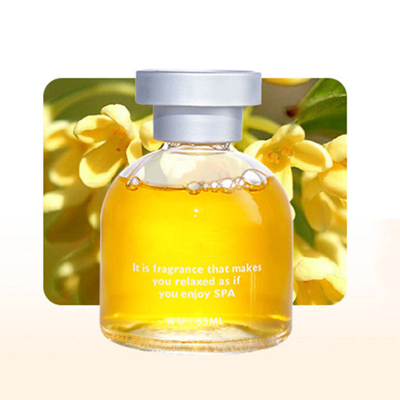 Parfum longue durée pour voiture