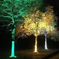 🌳 50% DE RÉDUCTION! 💡 Éclairage annulaire pour arbres – Spots étanches, lumière chaleureuse & design discret – Transforme votre jardin en allée féerique la nuit ✨