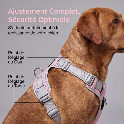 📢📢50% DE RÉDUCTION !! ⏰ Harnais sans tirage + laisse – Maille respirante, bandes réfléchissantes – Poignée de contrôle supérieure – Tailles XS à 2XL – 5 coloris – Promenades confortables et sécurisées 🌙