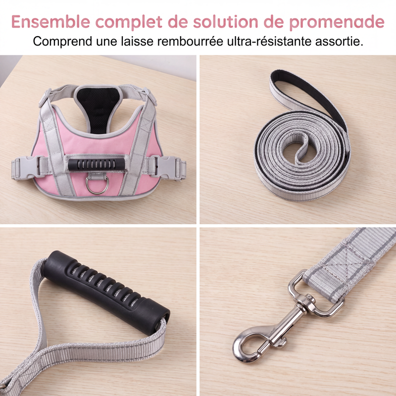📢📢50% DE RÉDUCTION !! ⏰ Harnais sans tirage + laisse – Maille respirante, bandes réfléchissantes – Poignée de contrôle supérieure – Tailles XS à 2XL – 5 coloris – Promenades confortables et sécurisées 🌙