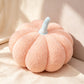 ⏳Offre Limitée 50% DE RÉDUCTION⏰Mignon coussin doux en forme de citrouille