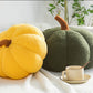 ⏳Offre Limitée 50% DE RÉDUCTION⏰Mignon coussin doux en forme de citrouille