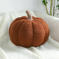 ⏳Offre Limitée 50% DE RÉDUCTION⏰Mignon coussin doux en forme de citrouille
